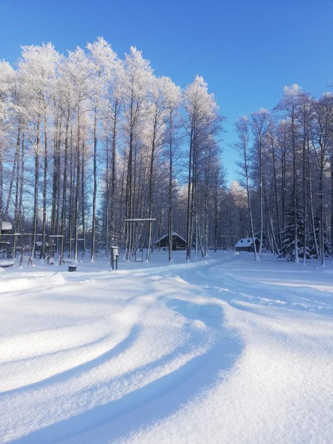 Kempings "Muiznieki" Ренда Экстерьер фото